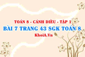 Bài 7 trang 43 SGK Toán 8 tập 1 Cánh Diều